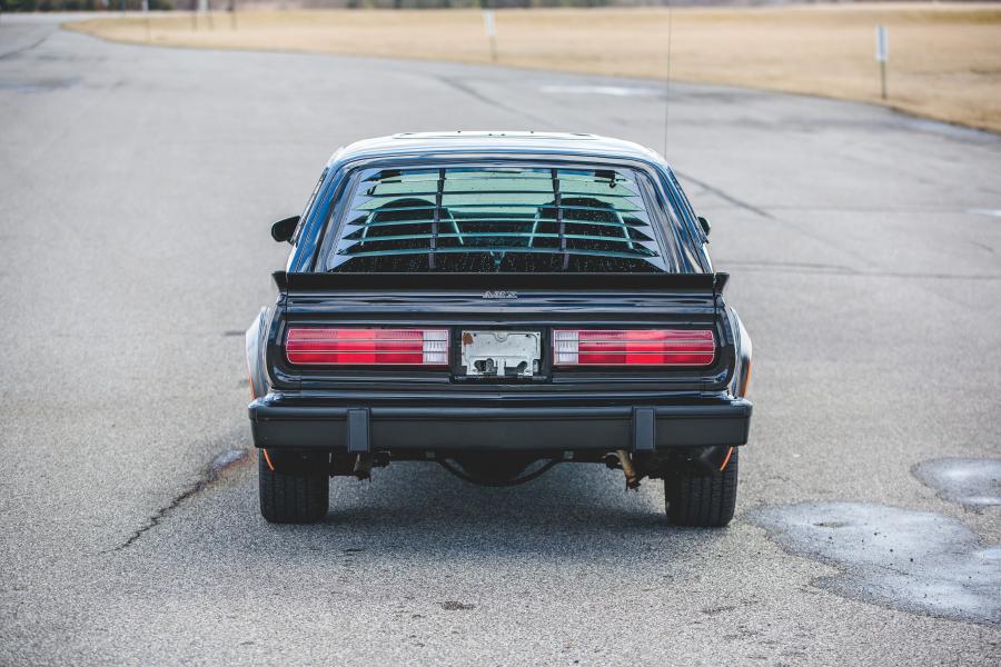  AMC AMX 2-Door Liftback Coupe (7943-9) 1979 года  (фото 16 из 34)
